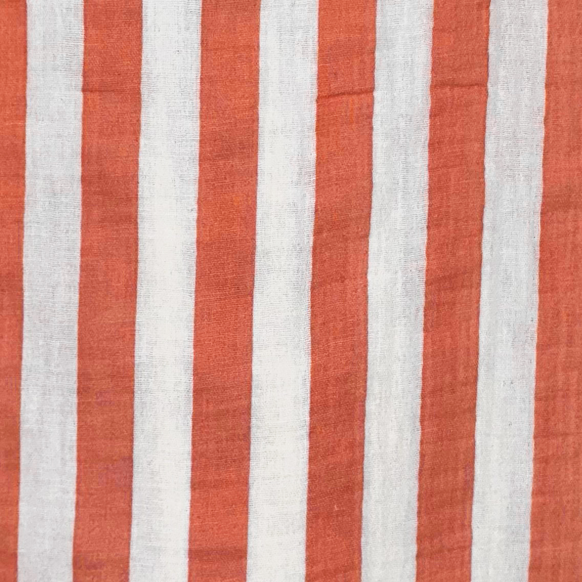 ecru_coral_petrosino